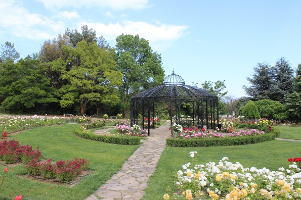 Изглед от ботаническата градина